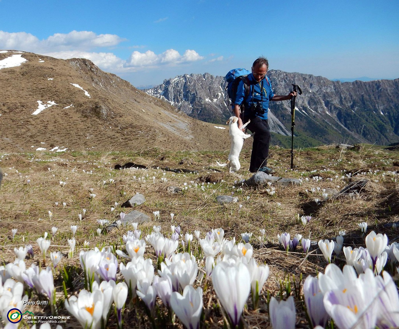 90 Festa di crocus.jpg